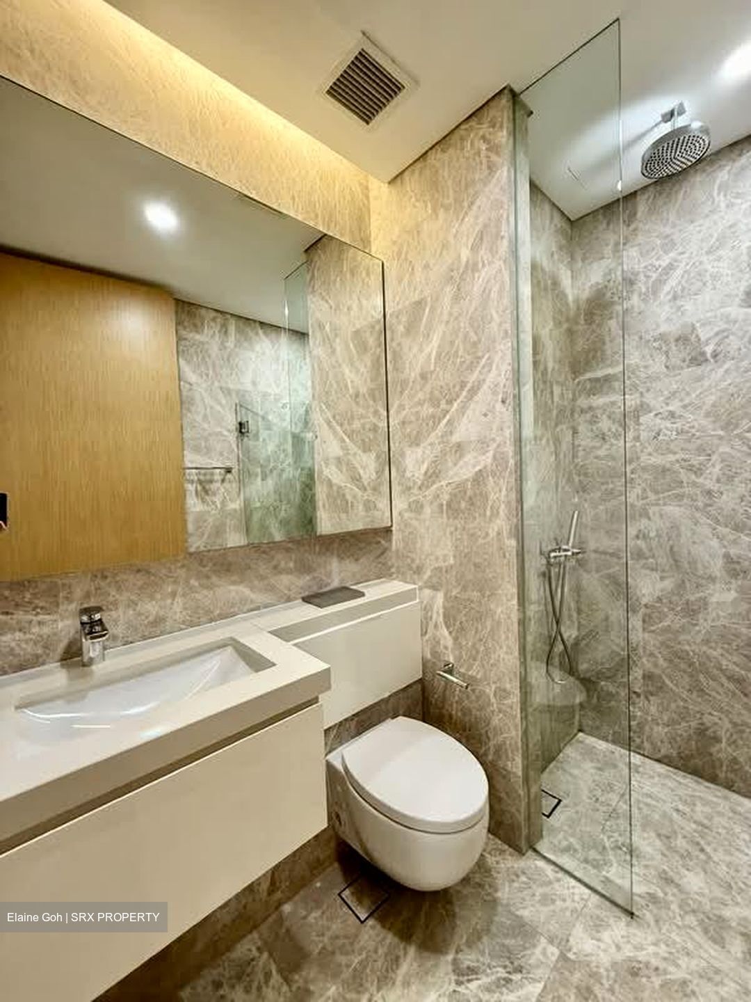 The Laurels (D9), Condominium #580936411